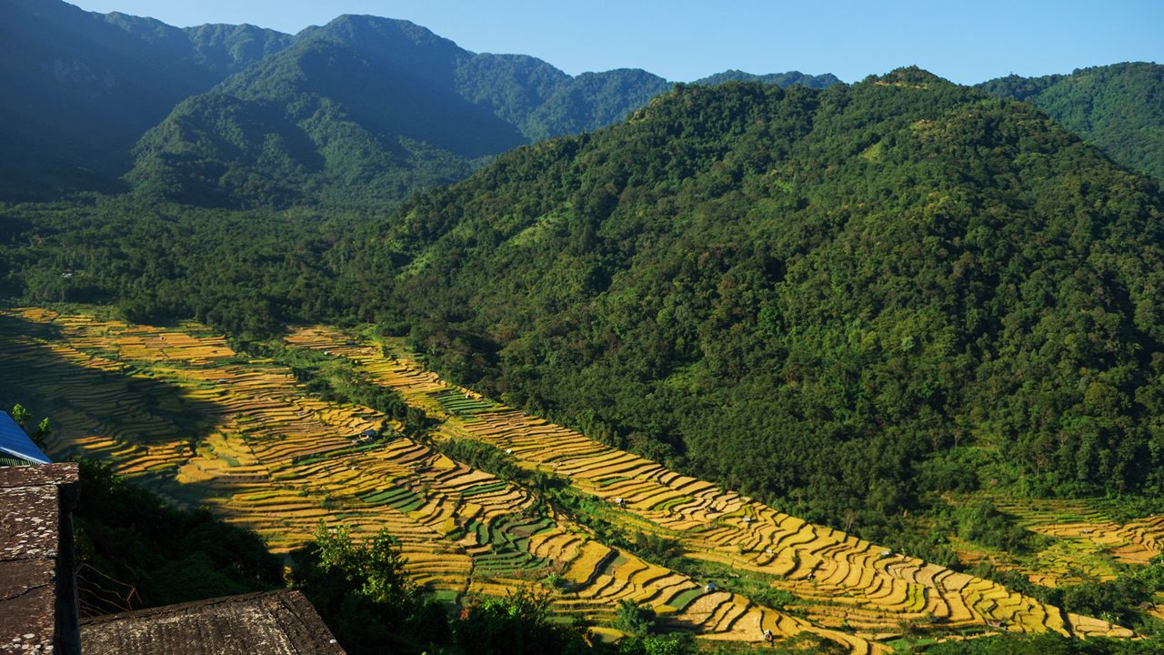 Kohima & Khonoma Cultural Tour